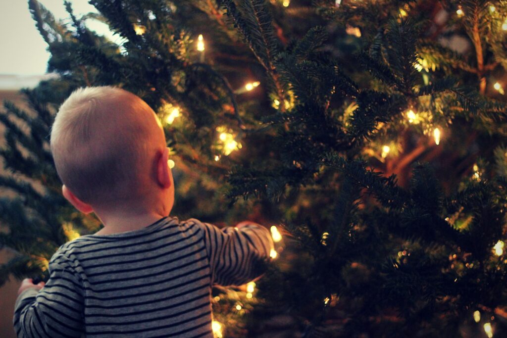 boy at christmas tree